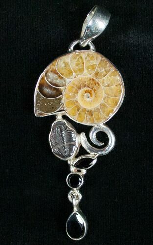 Ammonite + Trilobite Pendant - Sterling Silver #7054